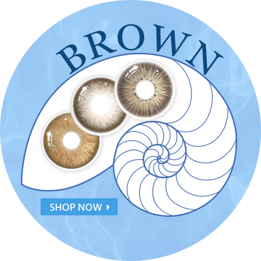 Brown - Roseibase