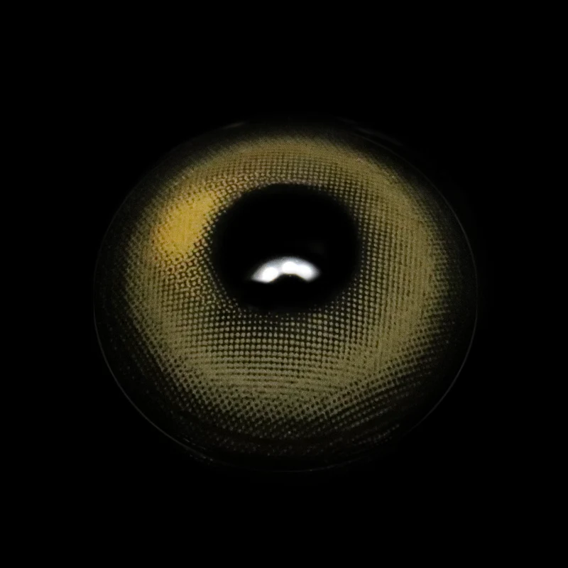 Linette Rockstar Brown Colored Contact Lenses - Roseibase