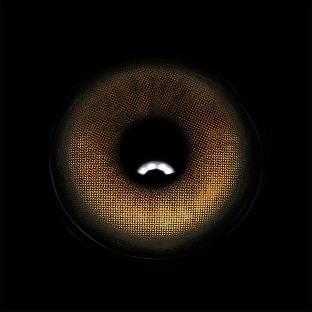 Faylinn Skylark Brown Colored Contact Lenses - Roseibase