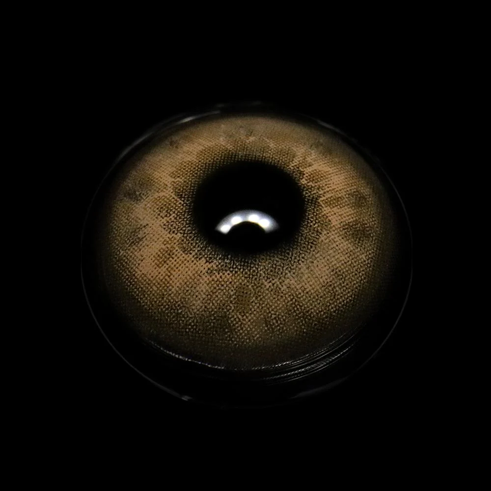 Faylinn Brown Colored Contact Lenses - Roseibase