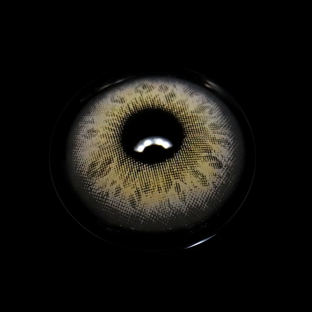Etoile Gray Colored Contact Lenses - Roseibase