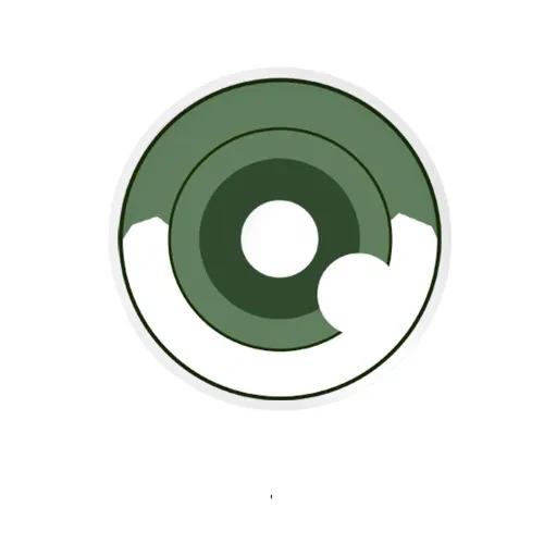 Cosplay Demon Slayer Hashibira Inosuke Green Colored Contact Lenses - Roseibase