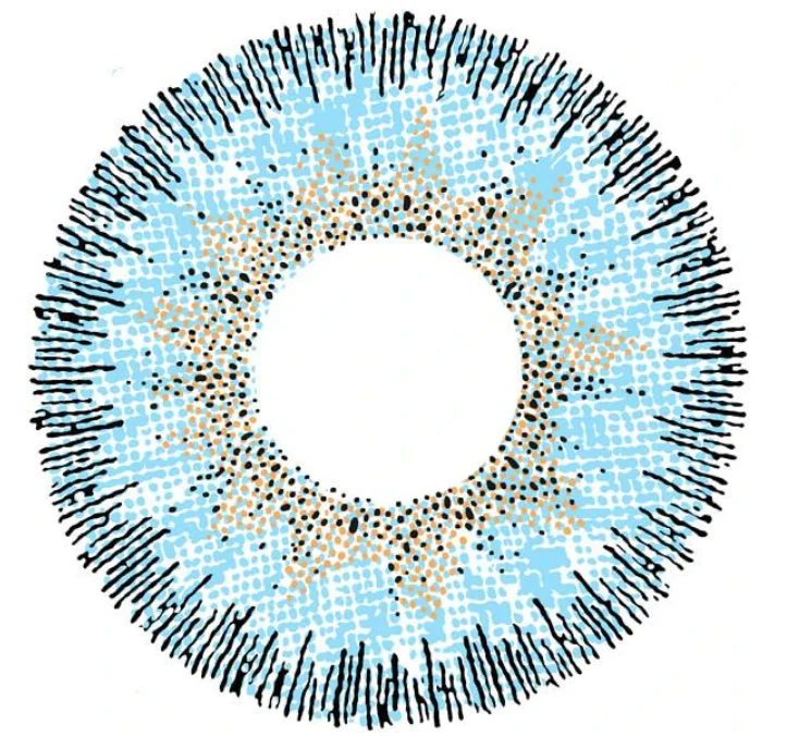 CONTOUR BLUE Colored Contact Lenses - Roseibase