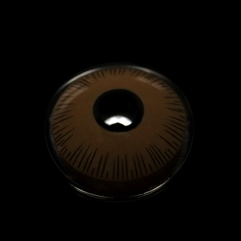 Bramble Dark Brown Prosthetic Lenses - Roseibase