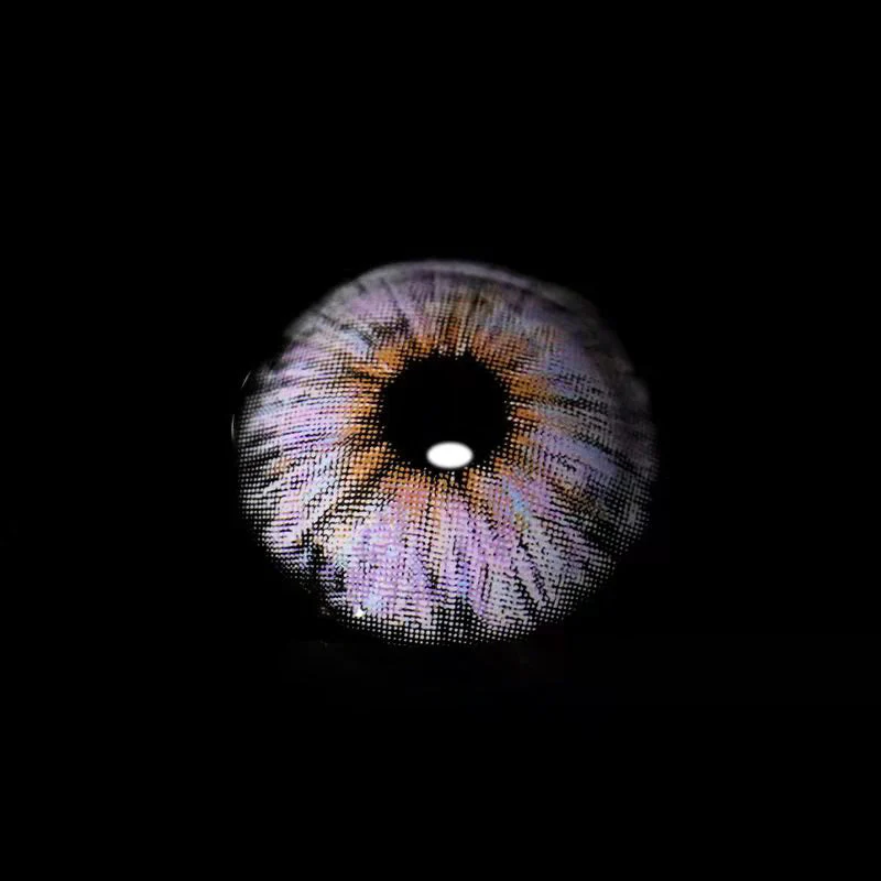 Monet Purple Colored Contact Lenses - Roseibase