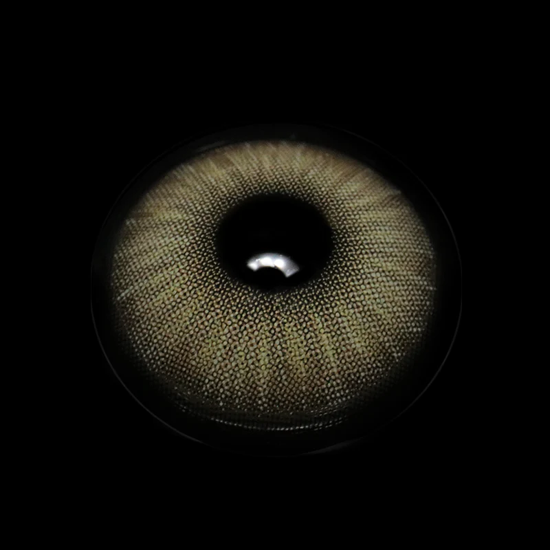 Beatriz Gray Colored Contact Lenses - Roseibase